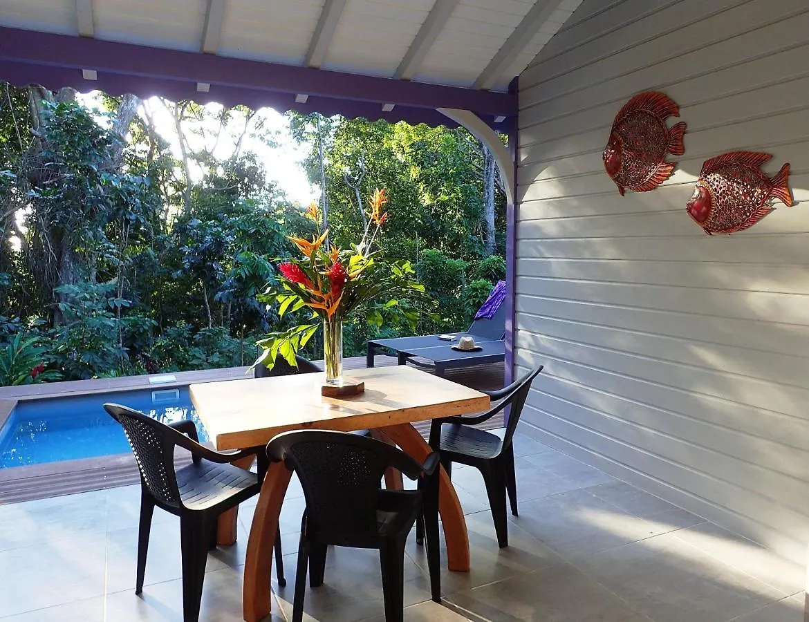Caraibes Cottages Jellyfish Piscine Privee A 900M De La Plage De Grande Anse Deshaies 0*,  Gwadelupa