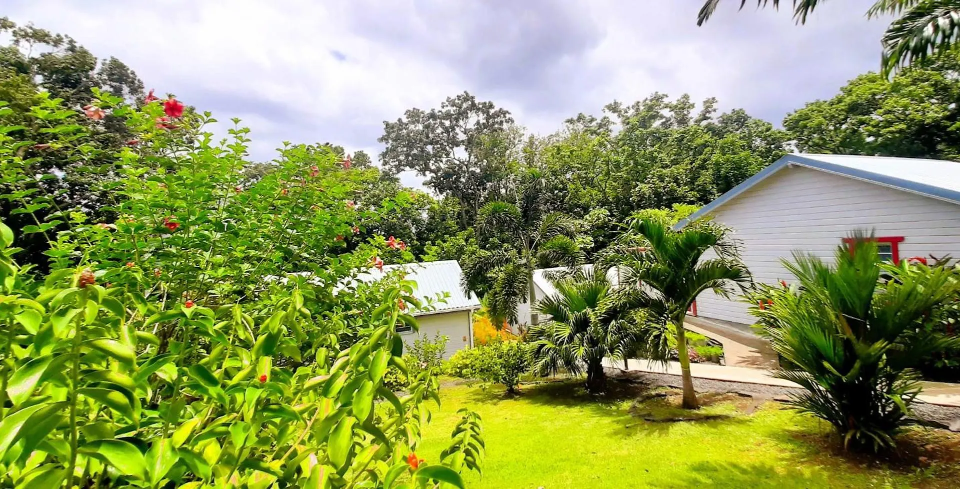 Dom wakacyjny Caraibes Cottages Jellyfish Piscine Privee A 900M De La Plage De Grande Anse Deshaies